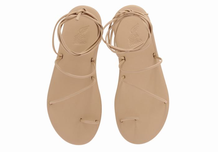 Sandales Toe-Post Ancient Greek Sandals Du   | MTH-1039962